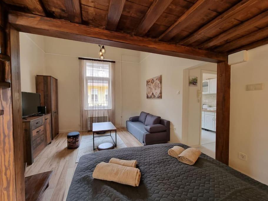 Vintage Apartman In City Center Miskolc Bagian luar foto
